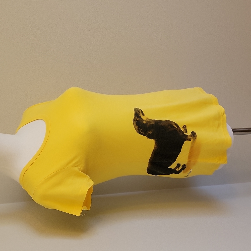 Threadless Select Bareback Tshirt By Michelle Ale… - image 2